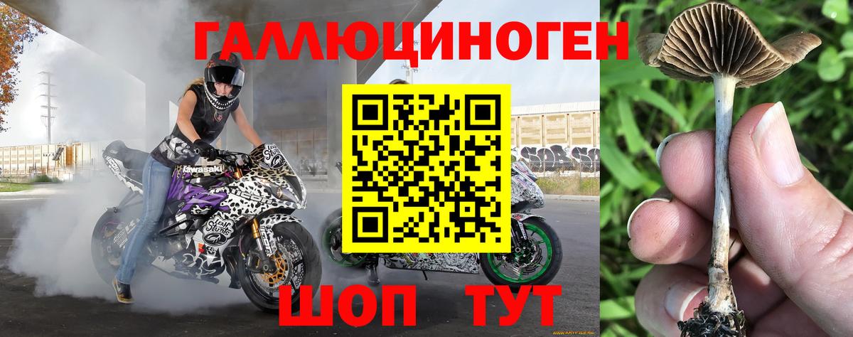 Зеленокумск  Псилоцибиновые грибы Psilocybe  где купить наркотик  Вход с VPN 